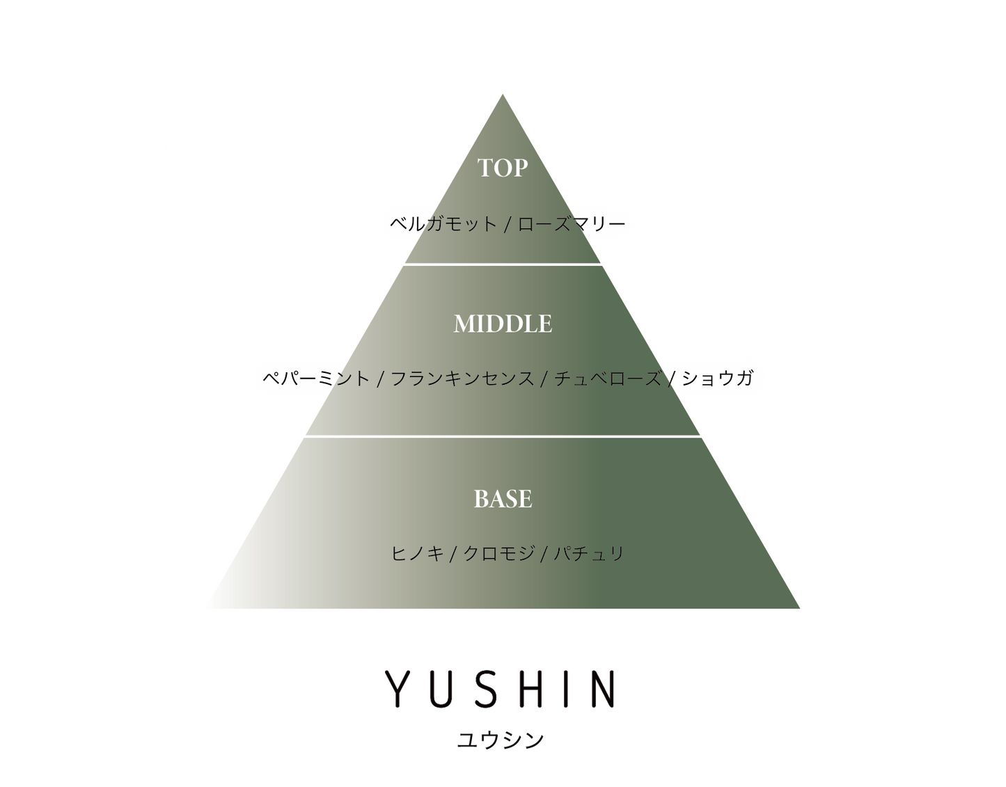 【BLACKLETTERS×KATHARINE HAMNETT LONDON】YUSHIN オードトワレ 10ml 森の吐息から生まれた黒文字とヒノキの香り