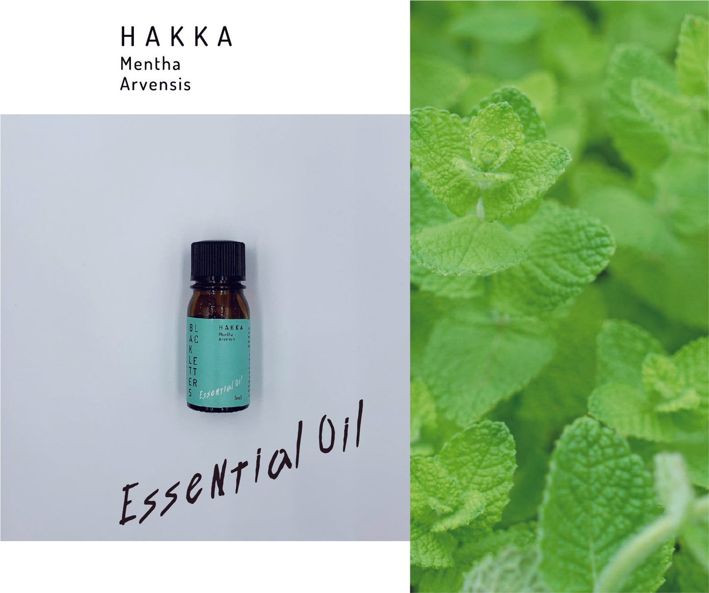 エッセンシャルオイル　ハッカ　５ml