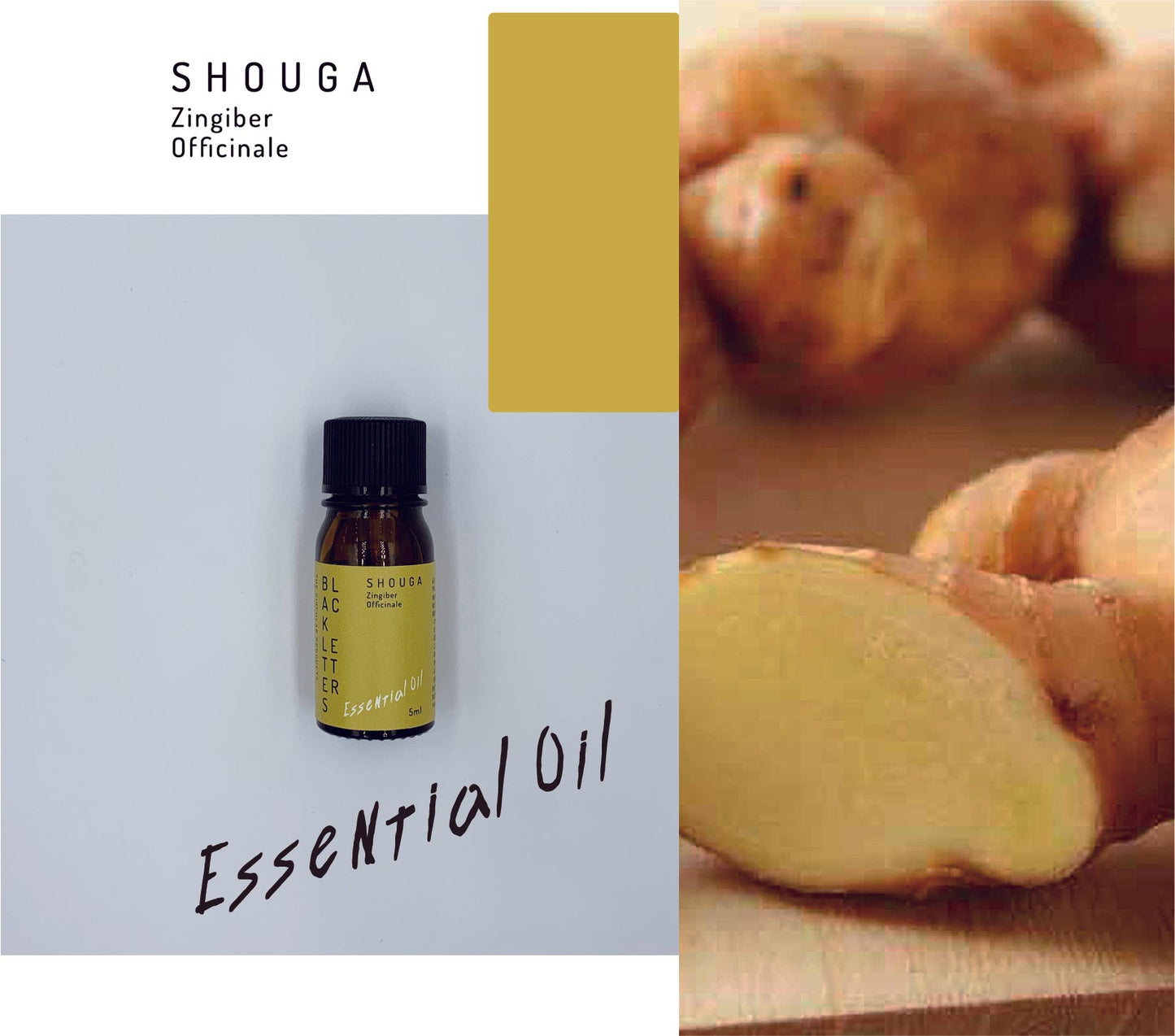 エッセンシャルオイル　 ショウガ　５ml