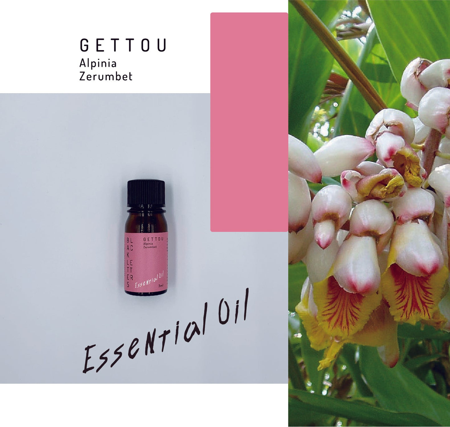 エッセンシャルオイル　ゲットウ　３ml